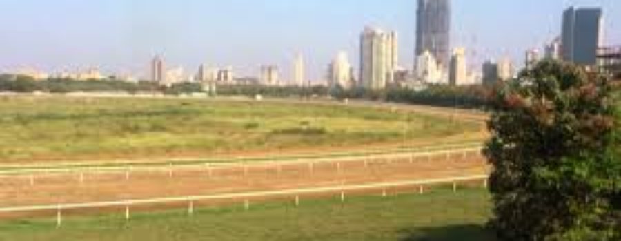 MUMBAI RACES:Analysis and Tips 26 02 2020