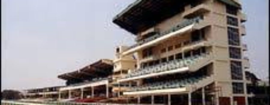 Chennai Race Tips with Complete Analysis 11 Feb 2021