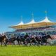 GOODWOOD RACE ANALYSIS_29 07 2021