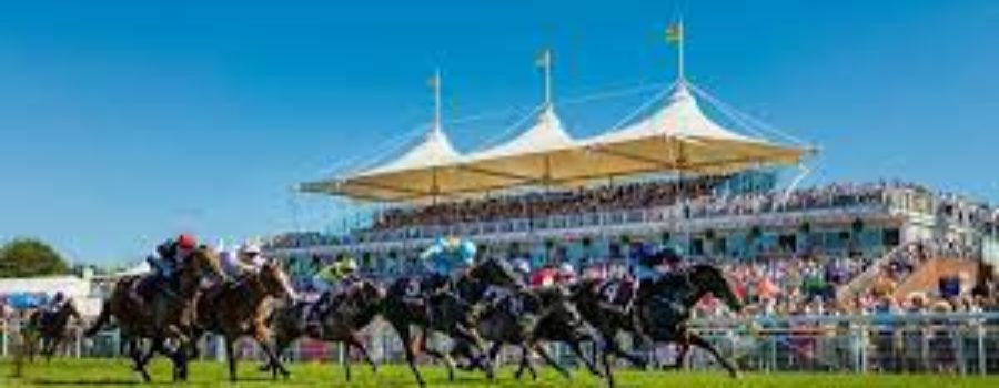 GOODWOOD RACE ANALYSIS_29 07 2021