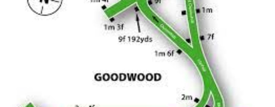 GOODWOOD Race Tips Without Analysis 31 07 2021