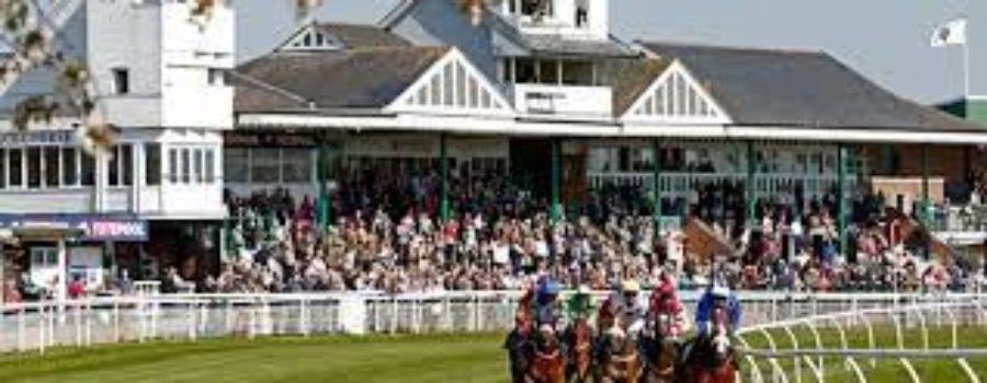 Cattterick bridge Race Analysis and Timeform Racecard 16 08 21