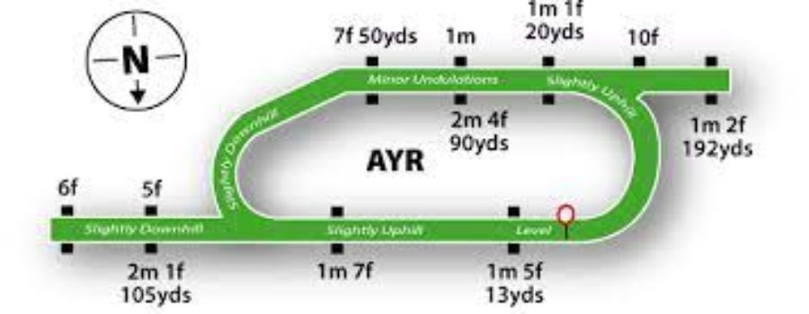 AYR RACE ANALYSIS AND TIPS AND TIME FORM RACE CARD PDF