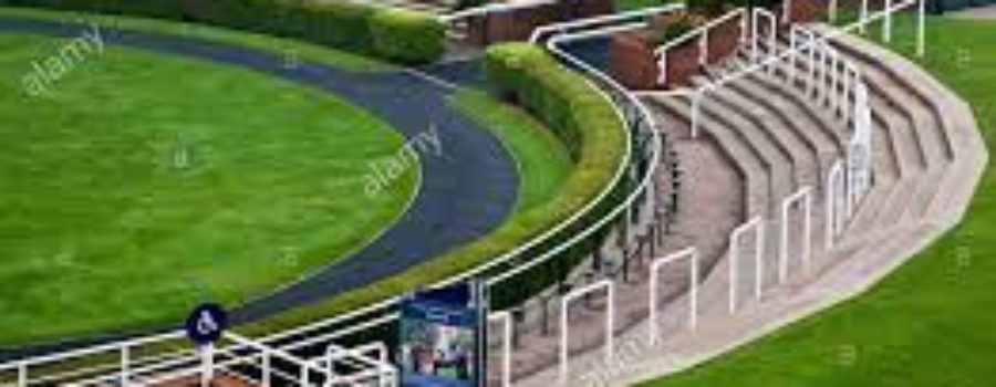 NEW MARKET ANALYSIS AND TIMEFORM RACE CARD FOR YORK AND NEW MARKET