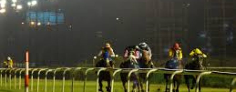 Delhi Race Analysis and Tips 10 01 23