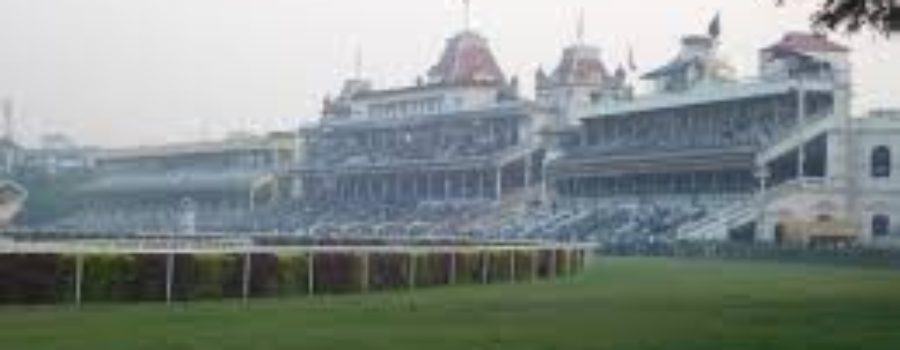 Kolkata Race Analysis, Trackwork