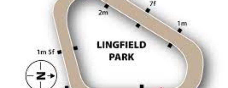 LINGFIELD RACE ANALYSIS AND TIPS 31 12 21