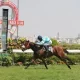 Hyderabad Race Analysis and Trackwork 02 01 23