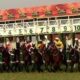 Delhi Race Analysis and Tips 08 10 24