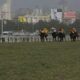 Delhi Race Tips and Trackwork 07 02 24