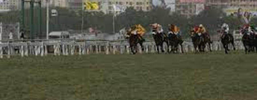 Delhi Race Tips and Trackwork 07 02 24